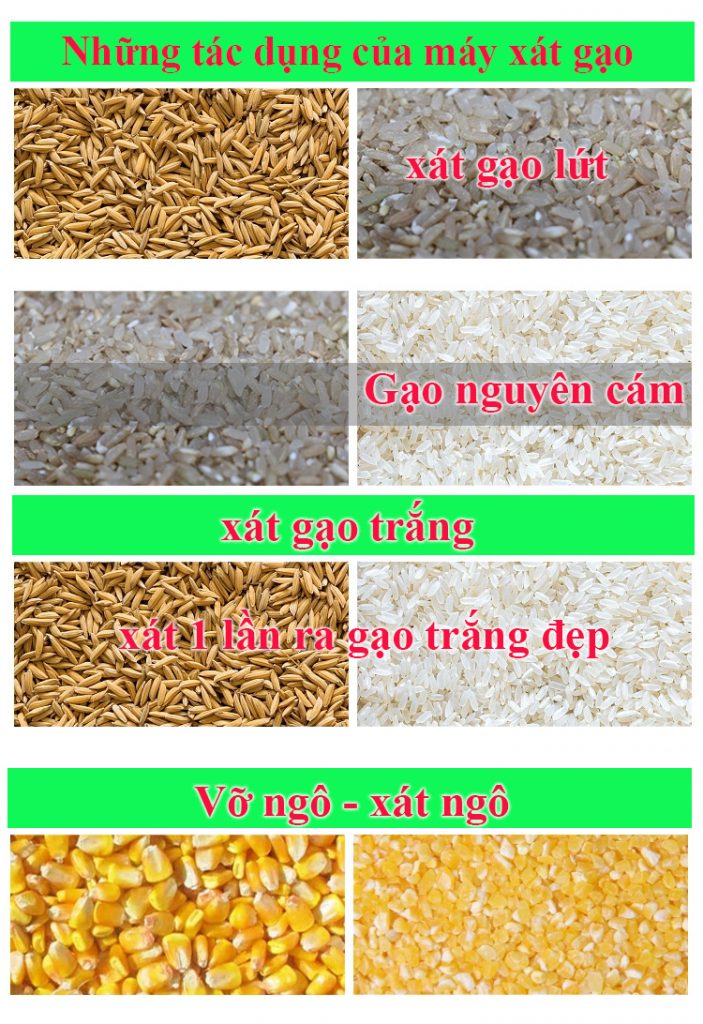 Sản phẩm của máy xát gạo mini Ưu Nông